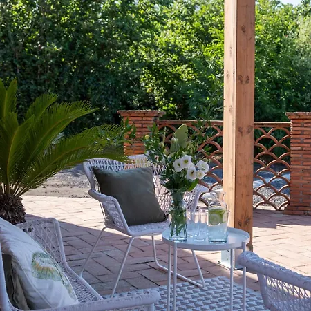 Vigne Dell'etna 6, Emma